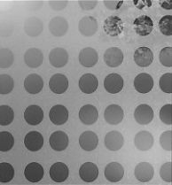 CIRCLES (M C30)
